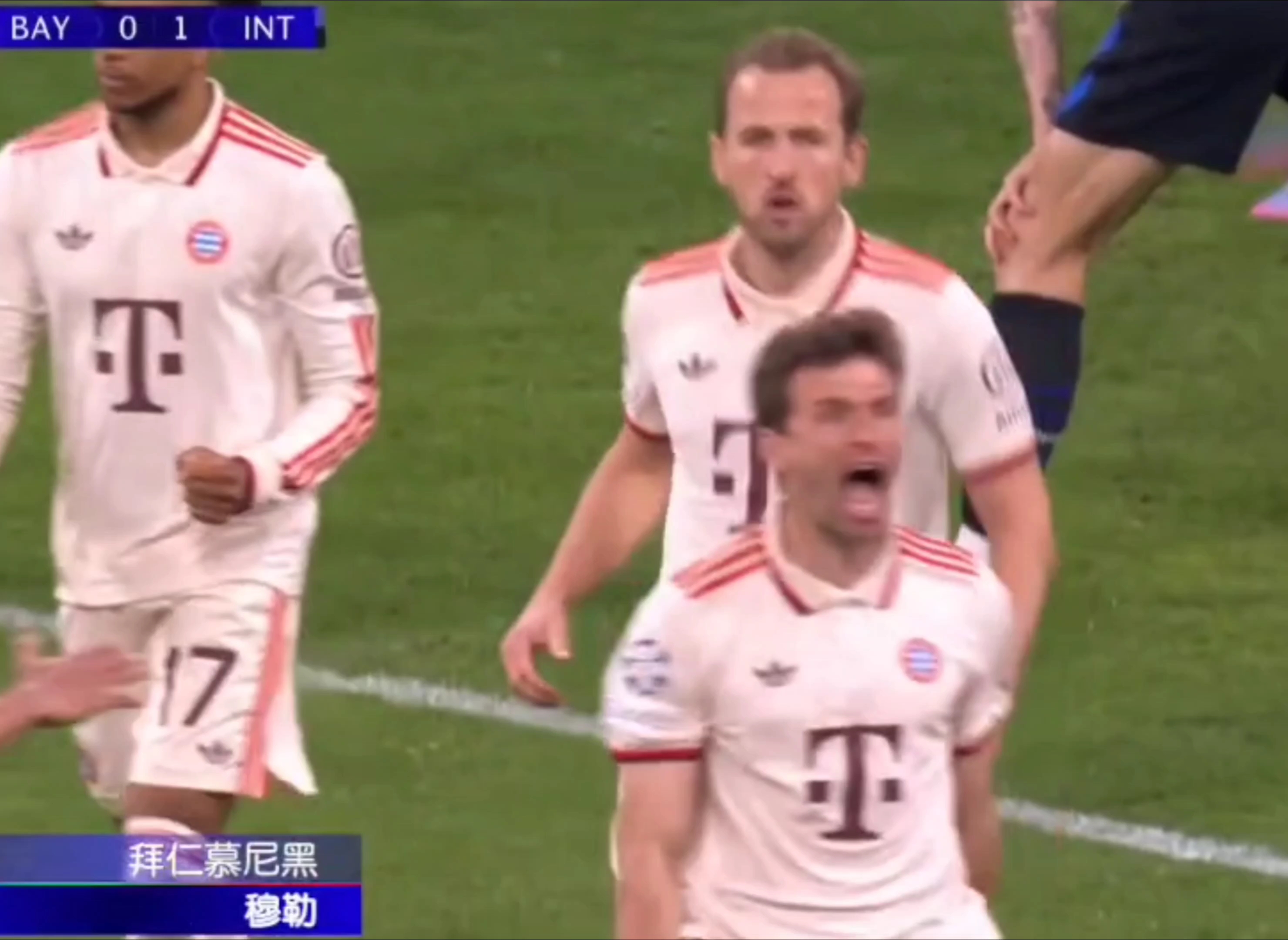 科恩破门沃尔夫斯堡险胜,领队杀入德甲前四!的简单介绍 科恩破门沃尔夫斯堡险胜,领队杀入德甲前四!的简单介绍