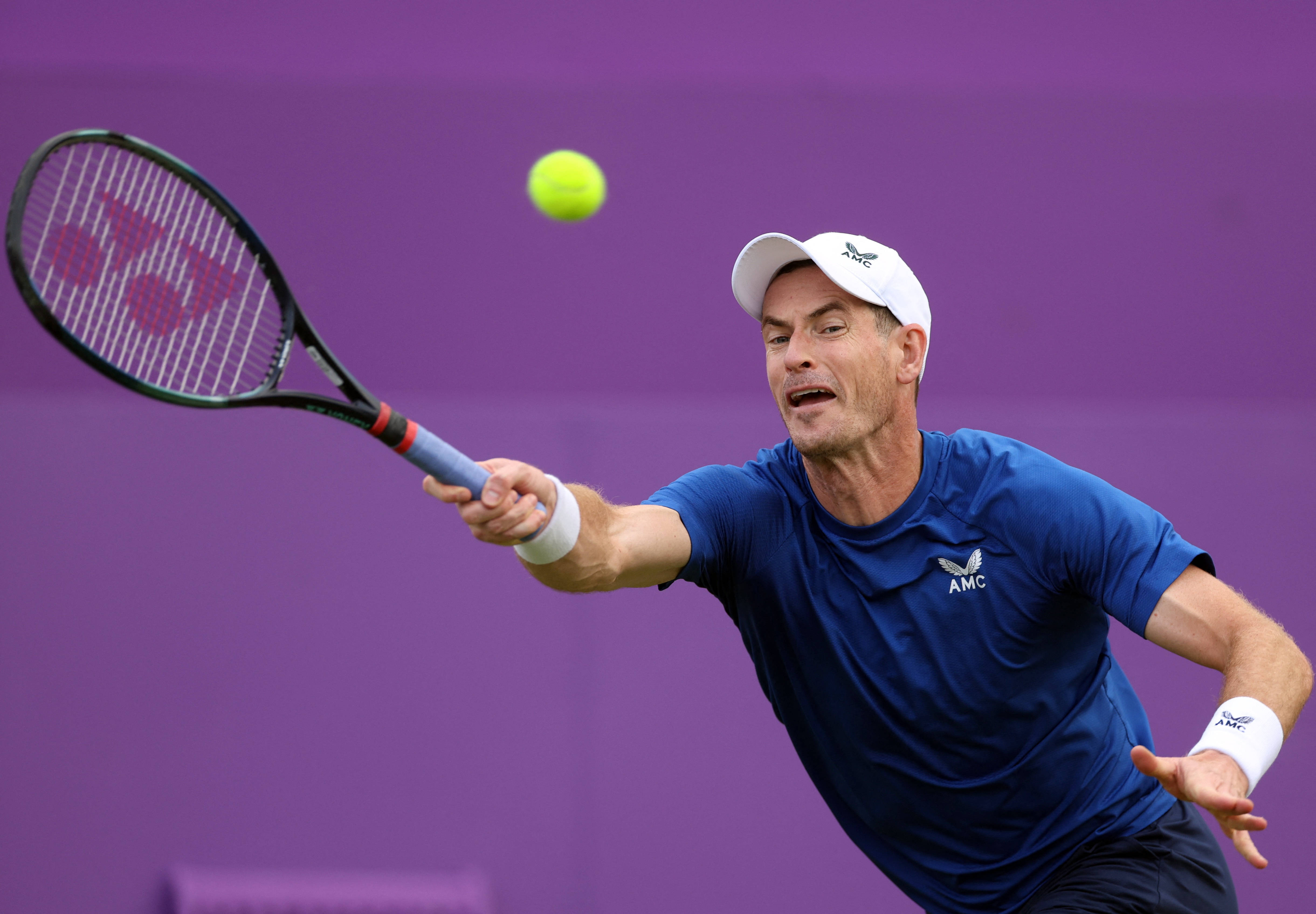 日本网球队强势世界网球队，穆雷打破历史纪录的简单介绍