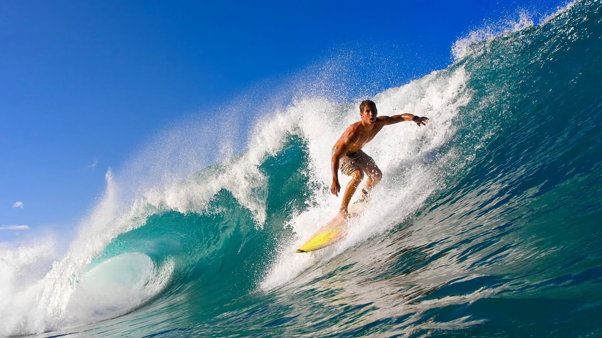德甲争冠战之夜,当文班亚马的防守艺术照亮绿茵场